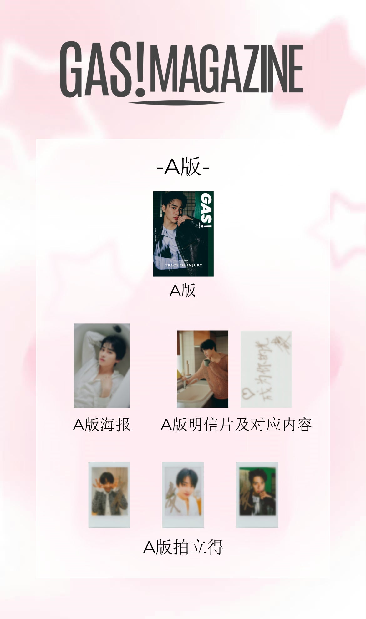 《GAS! MAGAZINE》 本岛纯政：Trace of Injury A版「官方授权」
